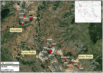 Carbon sequestration and soil nitrogen enrichment in Robinia pseudoacacia L. post-mining restoration plantations